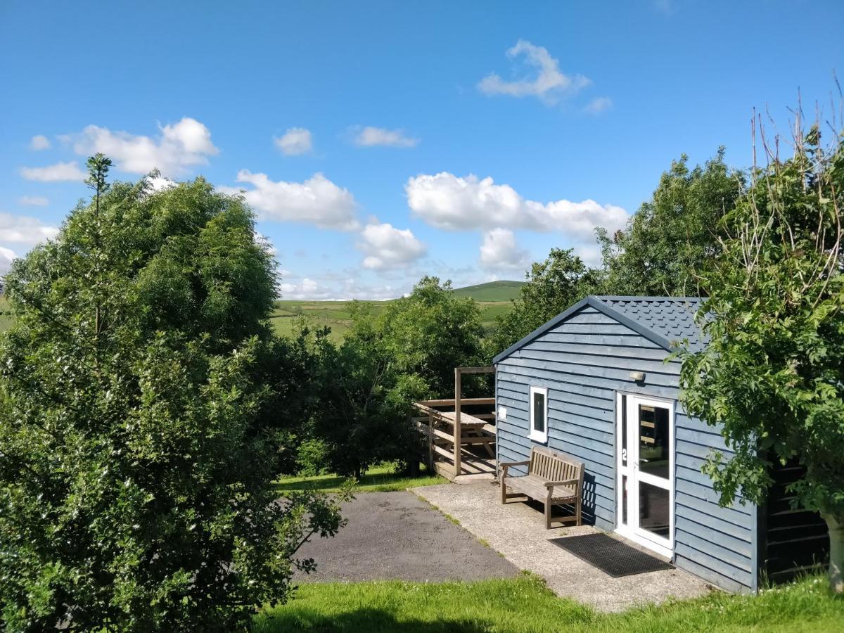 4 Bedroom Holiday Lodge In Welsh Hillside Woodland Llandrindod Wells Exterior photo